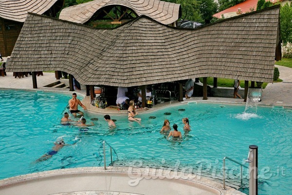 Le decorazioni per la tua festa in piscina