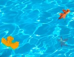 5 ottimi motivi per costruire la tua piscina in autunno