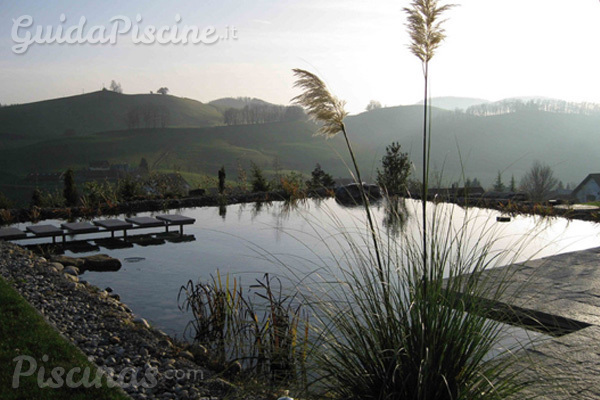 Le piante che depurano le piscine naturali