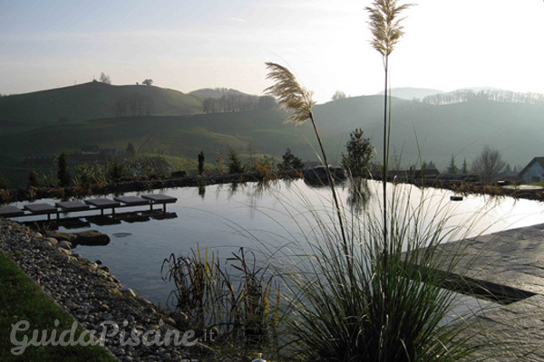 Come realizzare un laghetto balneabile nel tuo giardino