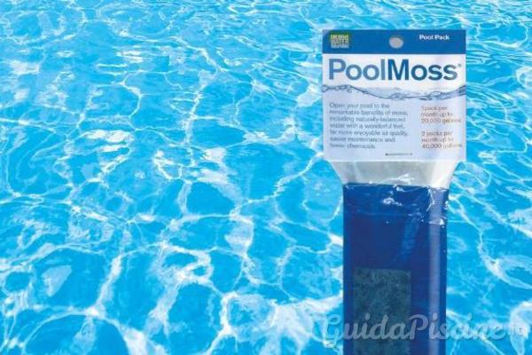 Pool Moss Fonte: Piscine Castiglione
