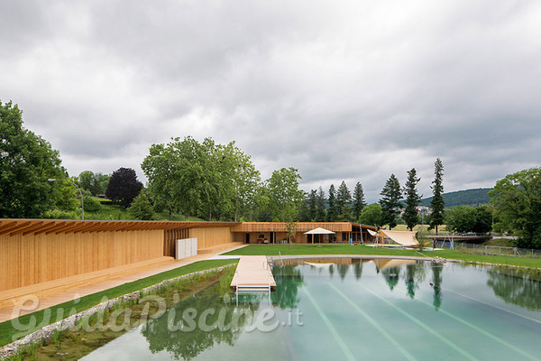 Piscina olimpionica a fitodepurazione Fonte: Inhabitat