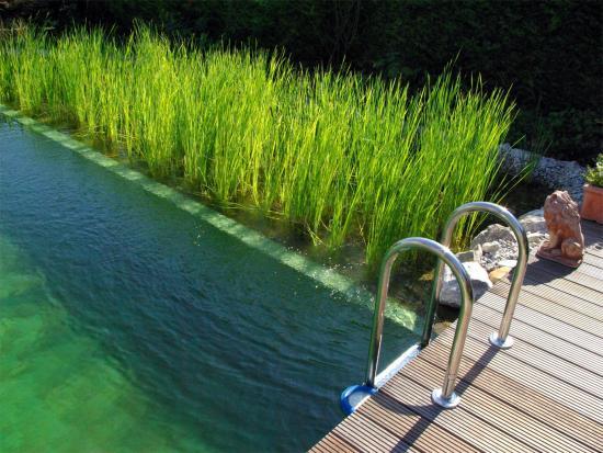 58_Biopiscine_o_piscine_naturali_che_cos