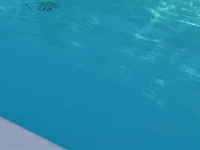 piscina skimmer.jpg
