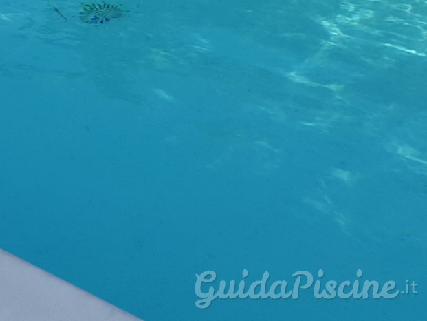piscina skimmer.jpg