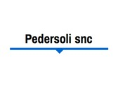 Pedersoli snc