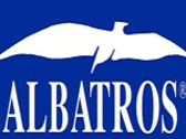 Albatros