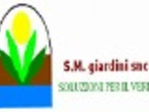 S.M. Giardini