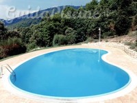 Piscina a bordo sfioro con forma a fagiolo