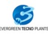 Evergreen Tecno Plants