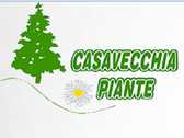 Casavecchia Piante Service Srl