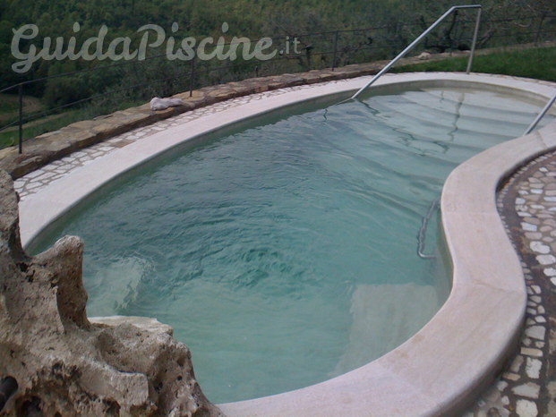 Piscina a fagiolo 