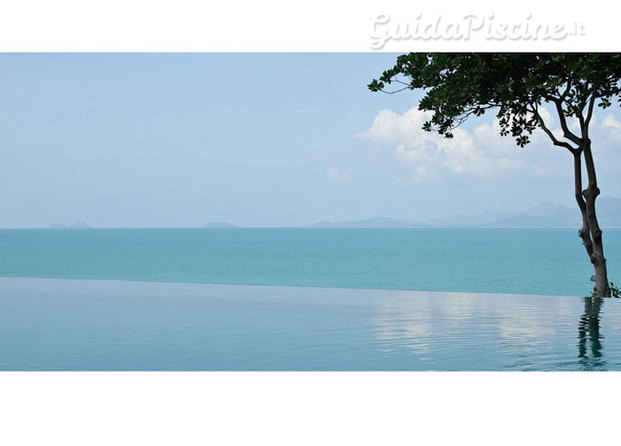 Piscina con vista