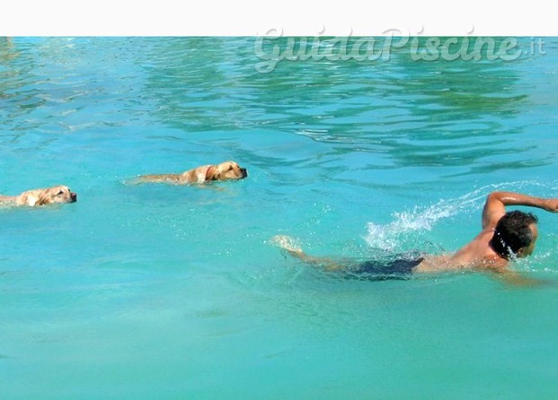 Piscina per cani