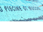 Logo Mg Piscine Di Muccio Giorgio