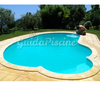 Linea Contemporanea Forma Libera Pool Immersion Piscine