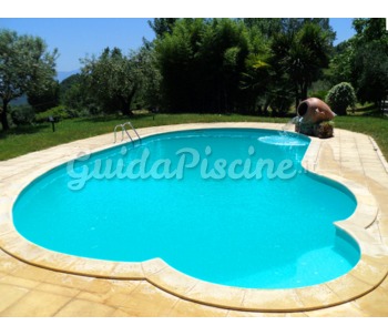 Linea Contemporanea Forma Libera Pool Immersion Piscine